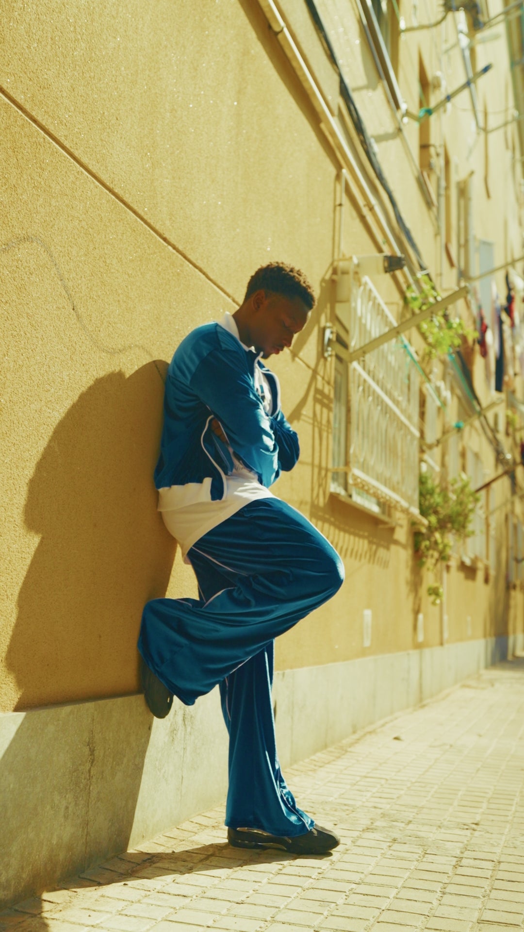 CHÁNDAL TERCIOPELO 'PRINCE OF VELOUR'